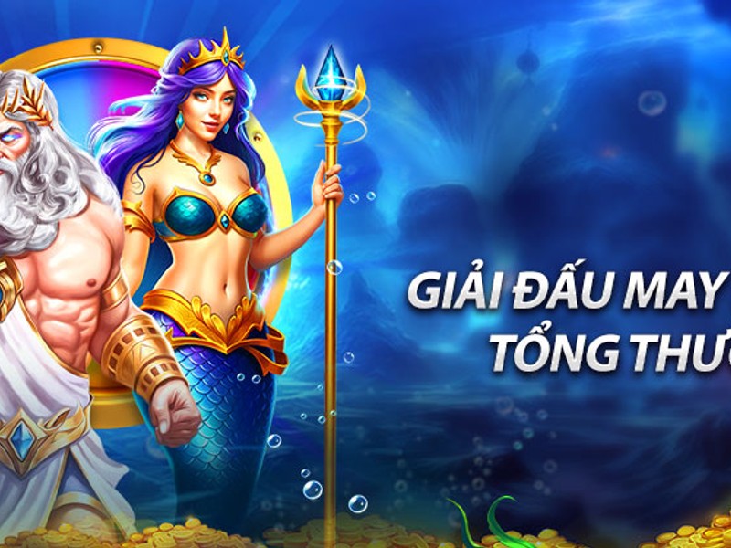 Hình ảnh hoạt động hàng ngày/tuần